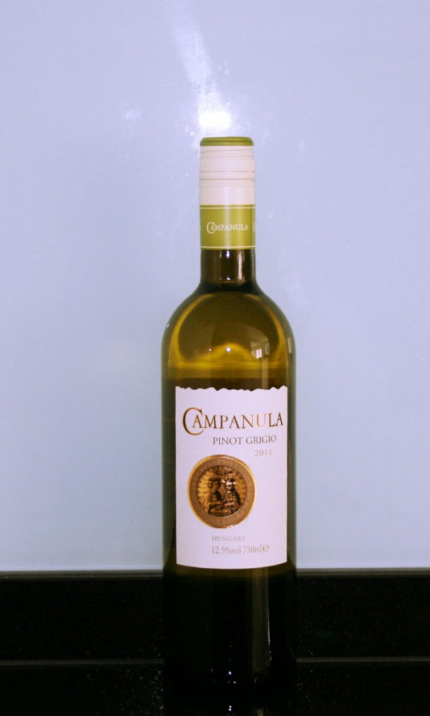 Campanula-150