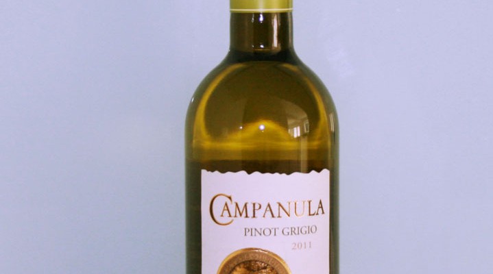 Campanula Pinot Grigio 2011